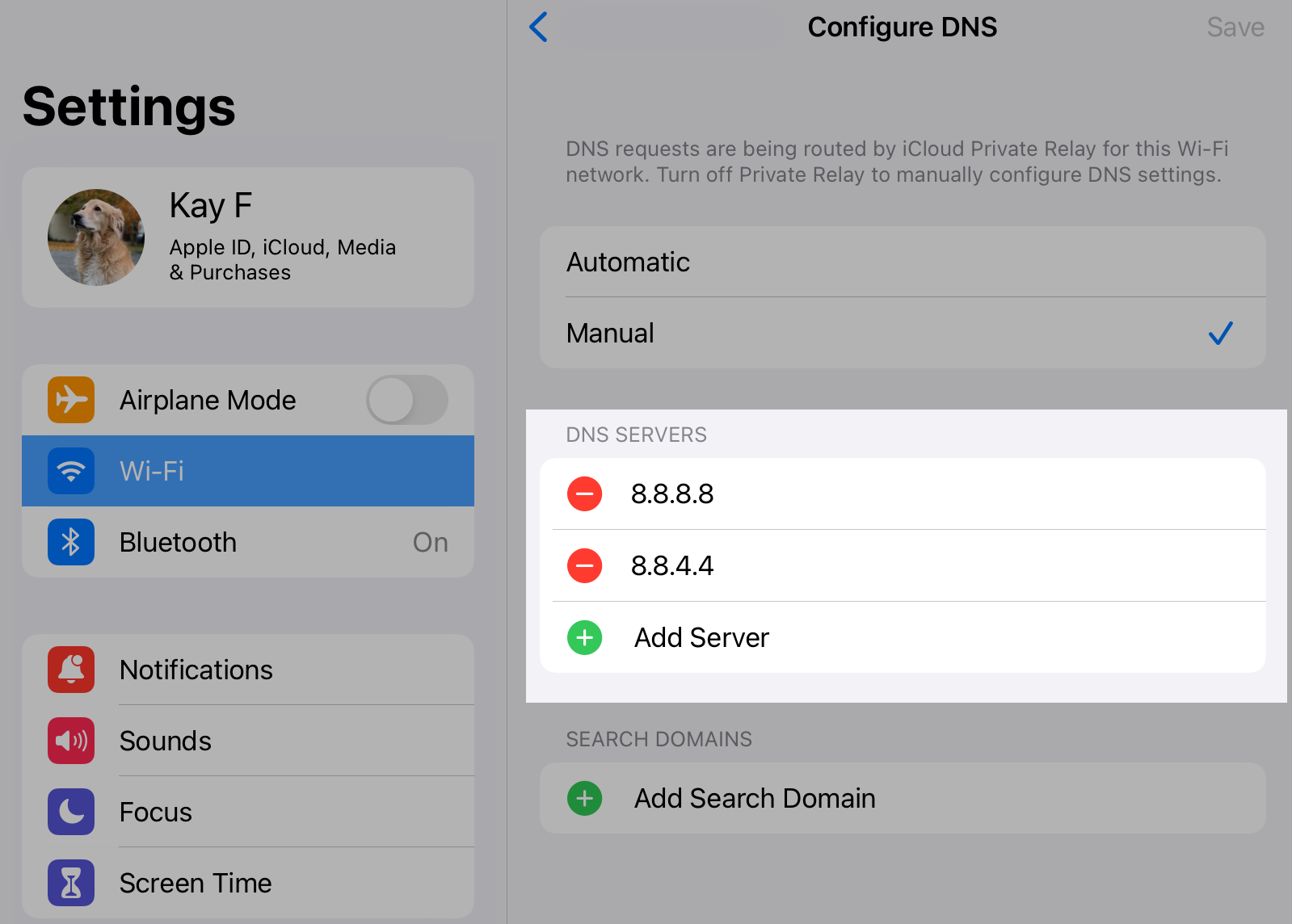 iOS DNS Servers.png