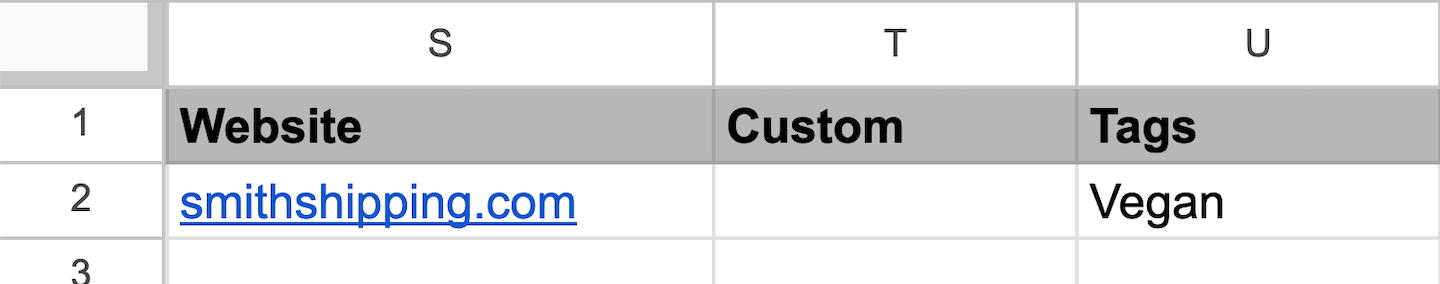 The customer data import spreadsheet showing the columns Website, Custom, and Tags.
