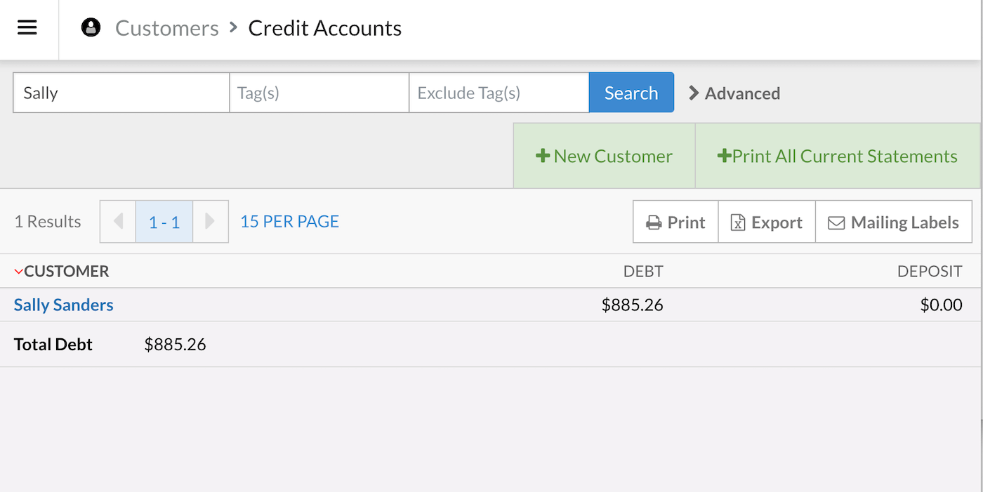 Credit accounts page showing filtered customer list.