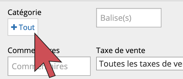 Une flèche qui survole le bouton +Tout sous le titre Catégorie.