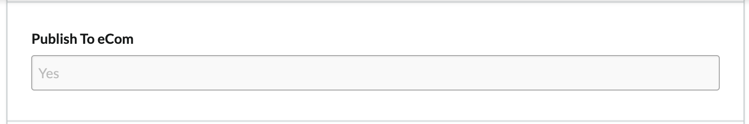 Shows 'yes' in the Publish to eCom preview field.