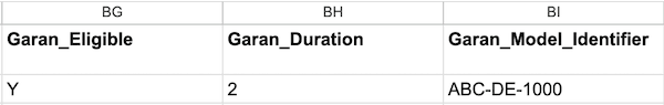 GARAN columns with example row in the spreadsheet file.