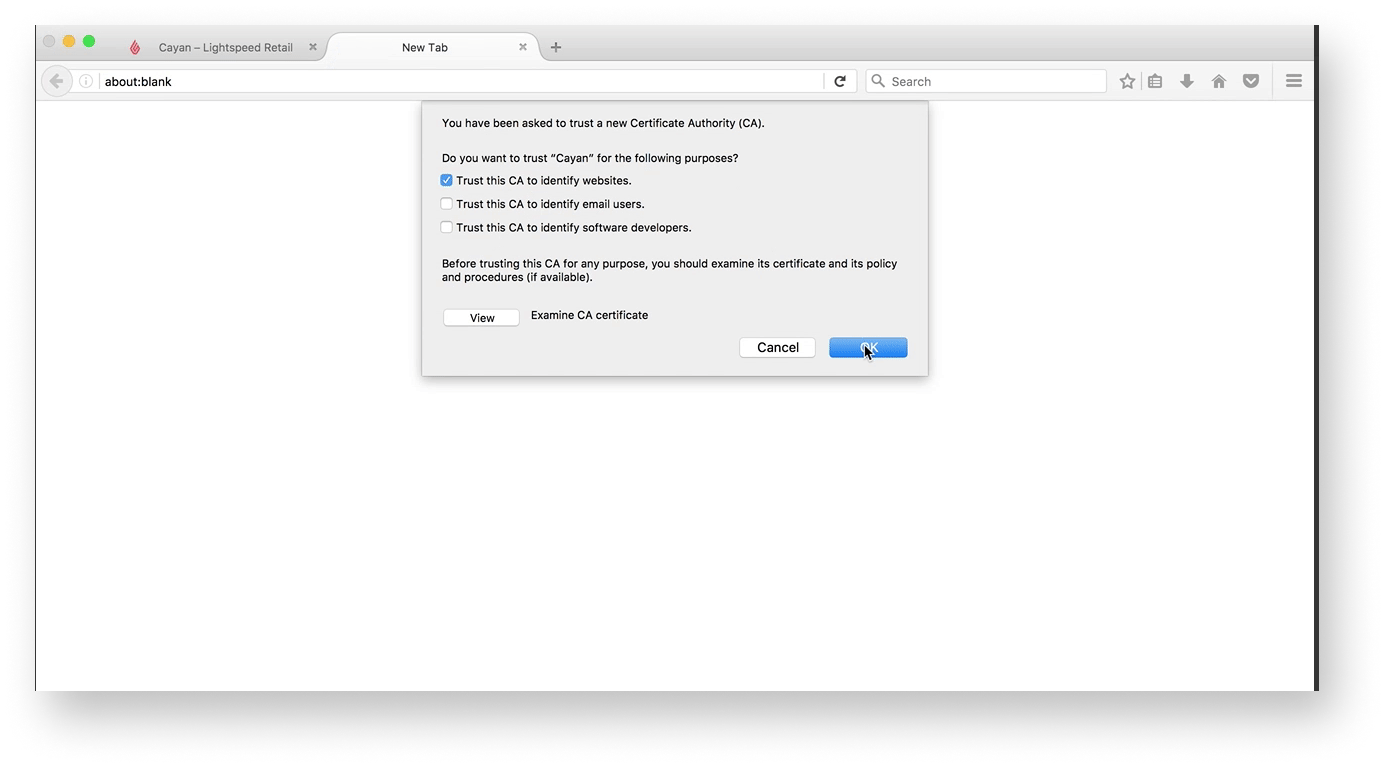 Setting up the Yomani/Yoximo terminals from Worldline – Lightspeed